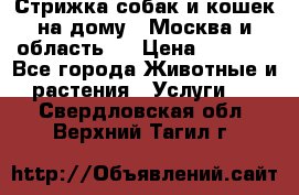 Стрижка собак и кошек на дому.  Москва и область.  › Цена ­ 1 200 - Все города Животные и растения » Услуги   . Свердловская обл.,Верхний Тагил г.